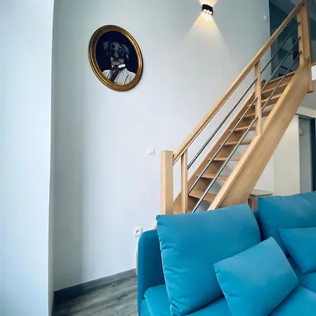 Boulard Duplex Luxueux Quartier Cathedrale Reims